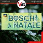 Boschi a Natale 2024: passeggiate naturalistiche in Veneto per tutta la famiglia